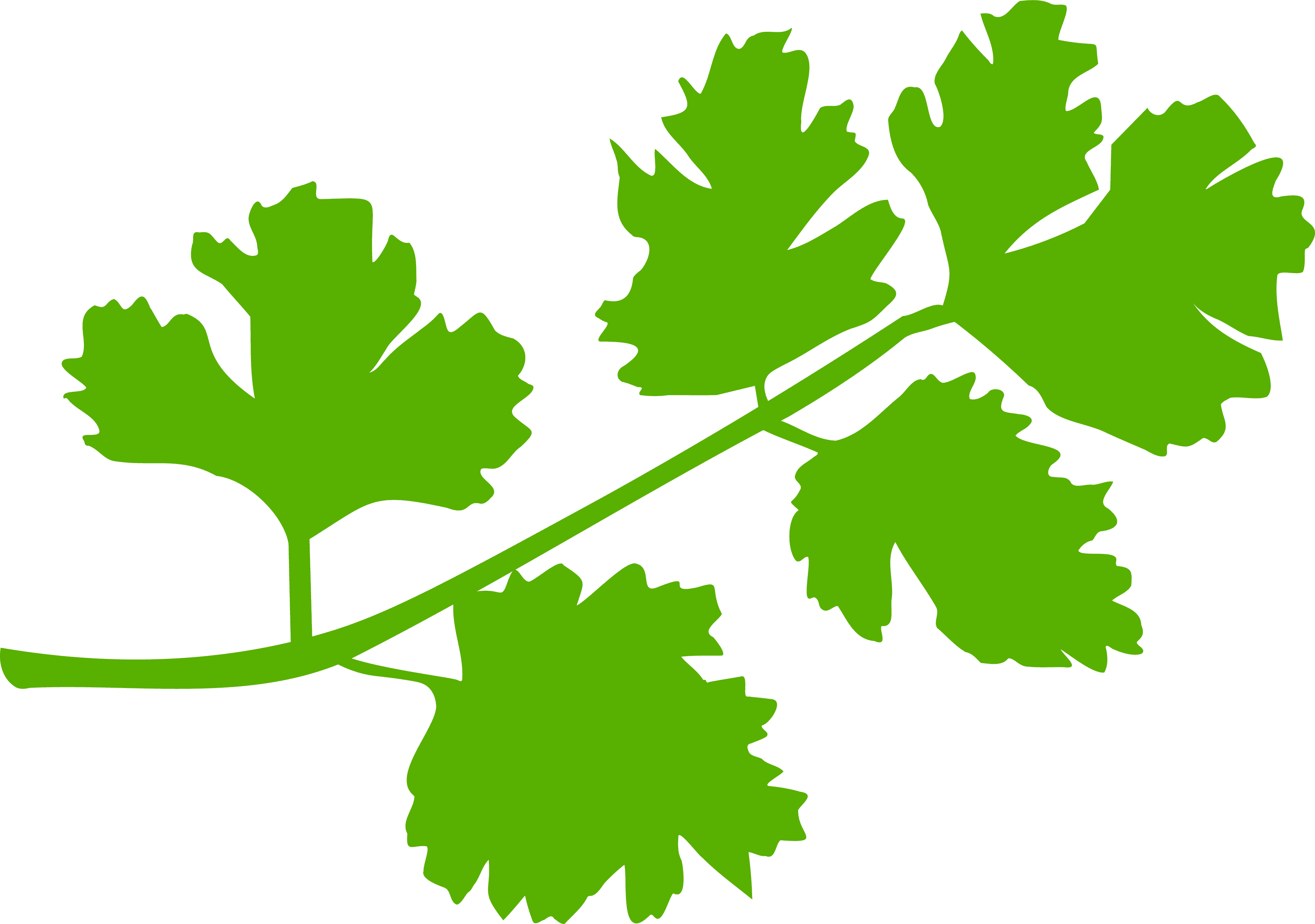 We are freshness freaks.